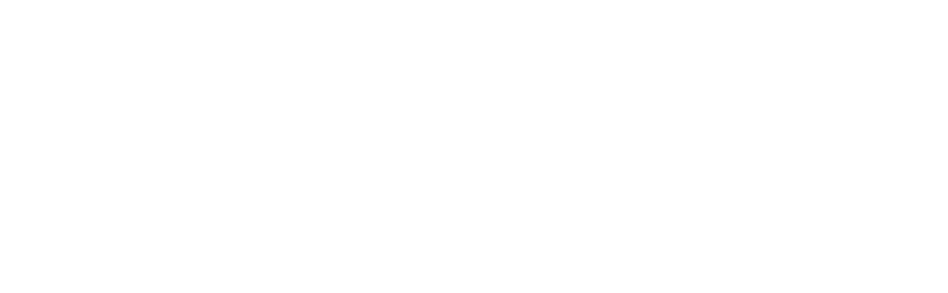 White Logo